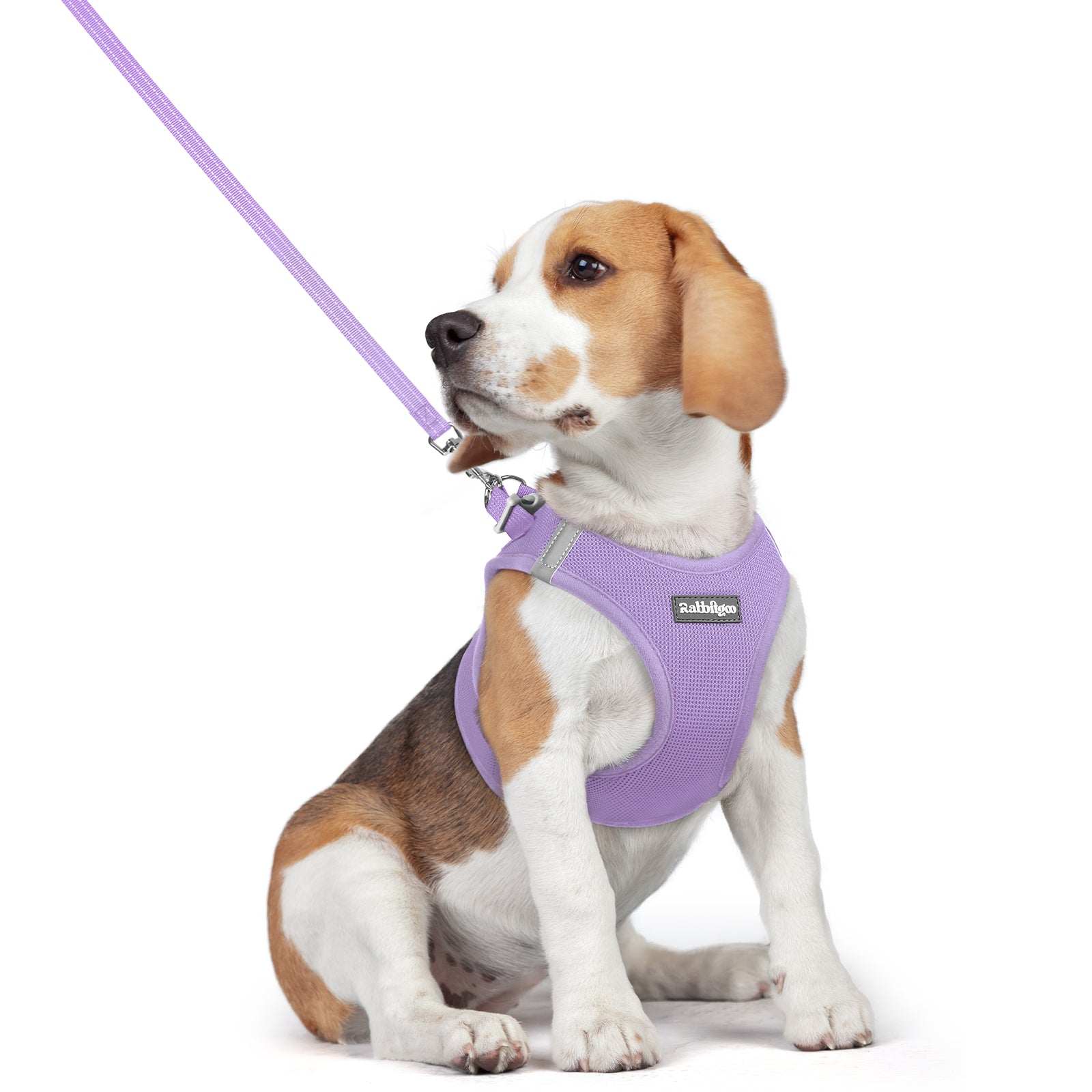 Minifit Small Dog Harness and Leash Set - Light Purple