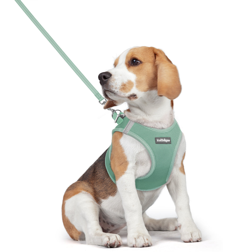 Minifit Small Dog Harness and Leash Set - Mint Green