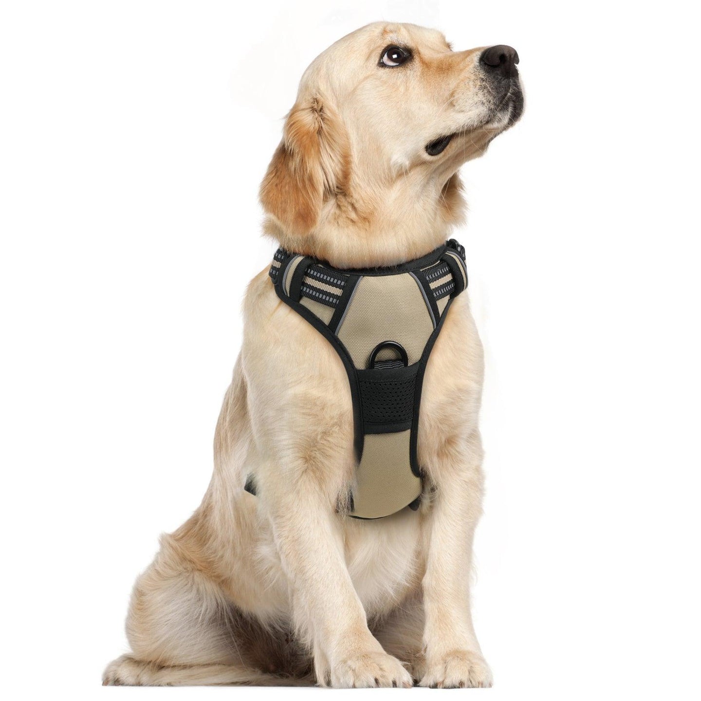 Rabbitgoo No Pull Dog Harness - Beige 