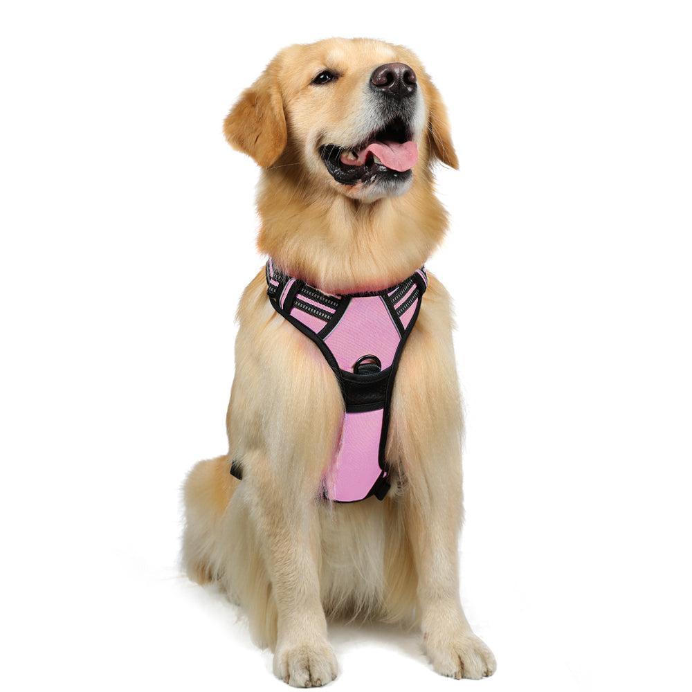 Rabbitgoo No Pull Dog Harness - Pink 