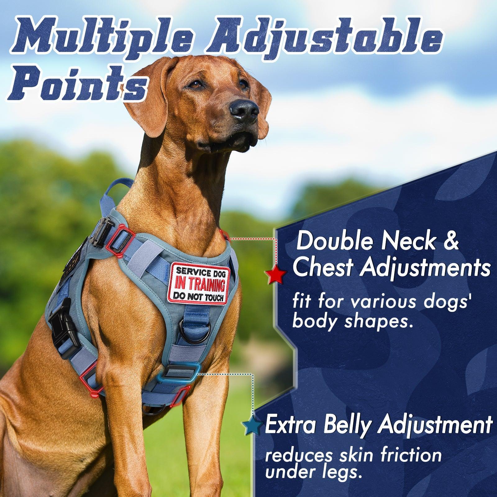 PAWTRENDER Tactical Dog Harness for Large Dogs - Blue