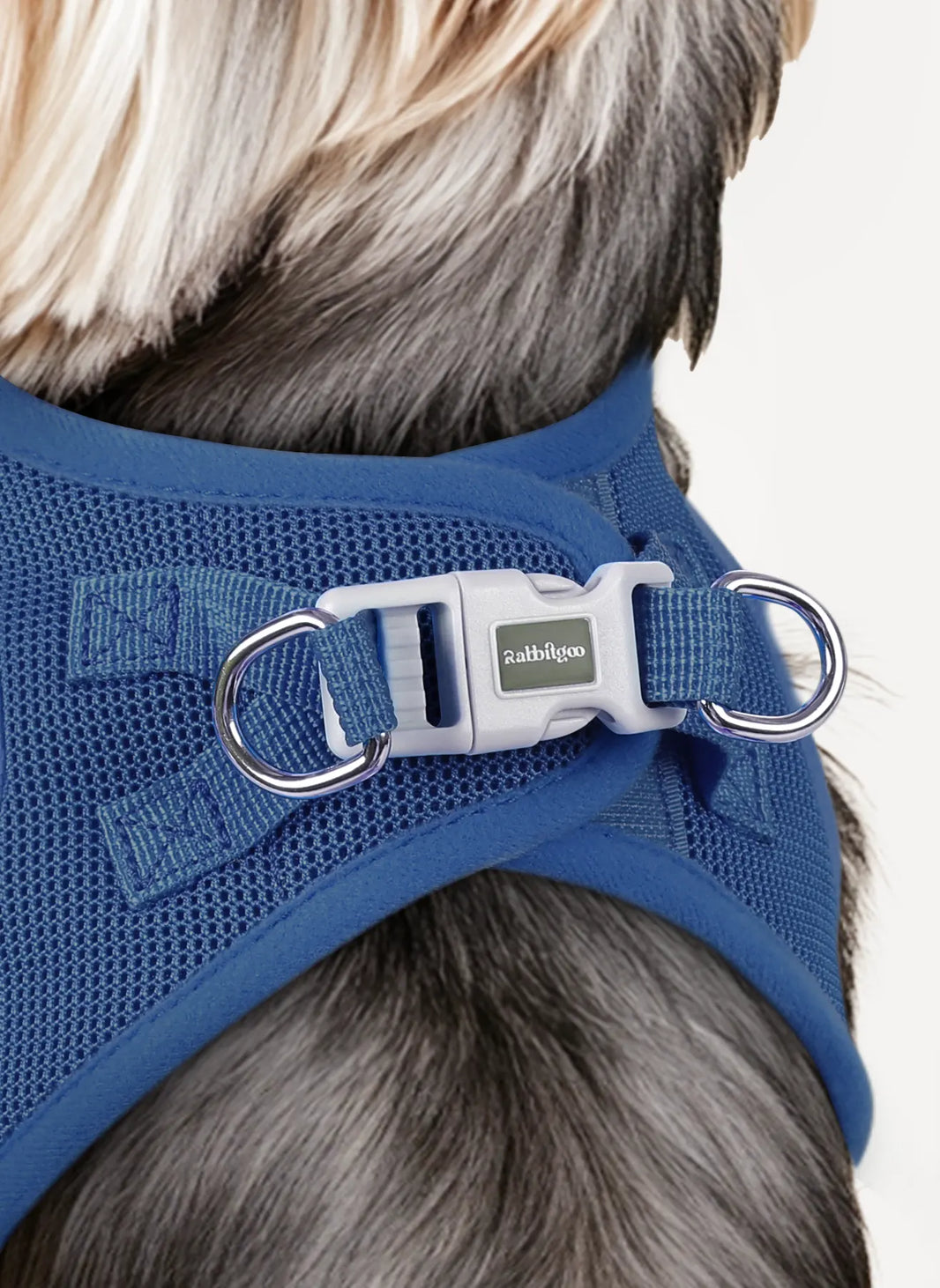 Minifit Small Dog Harness and Leash Set - Navy Blue