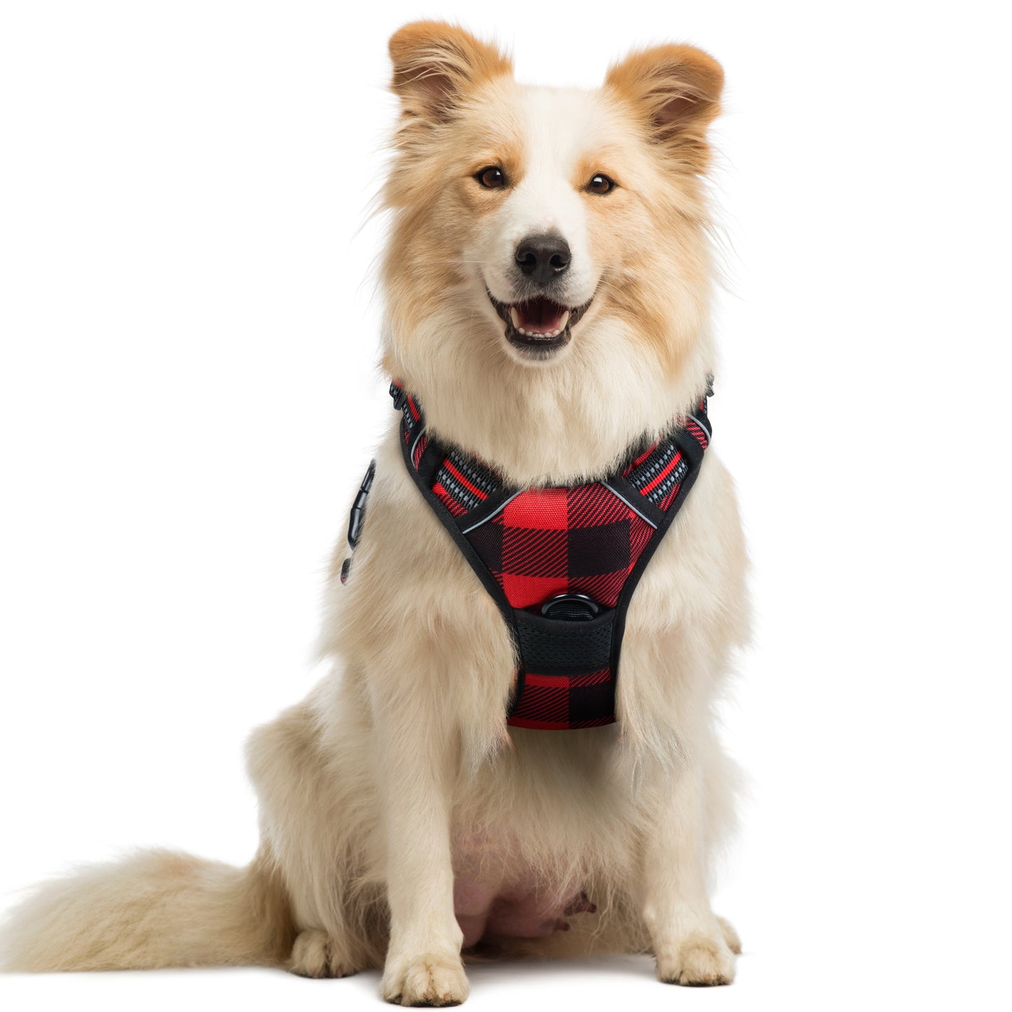 Rabbitgoo Plaid Dog Harness for Large Dogs