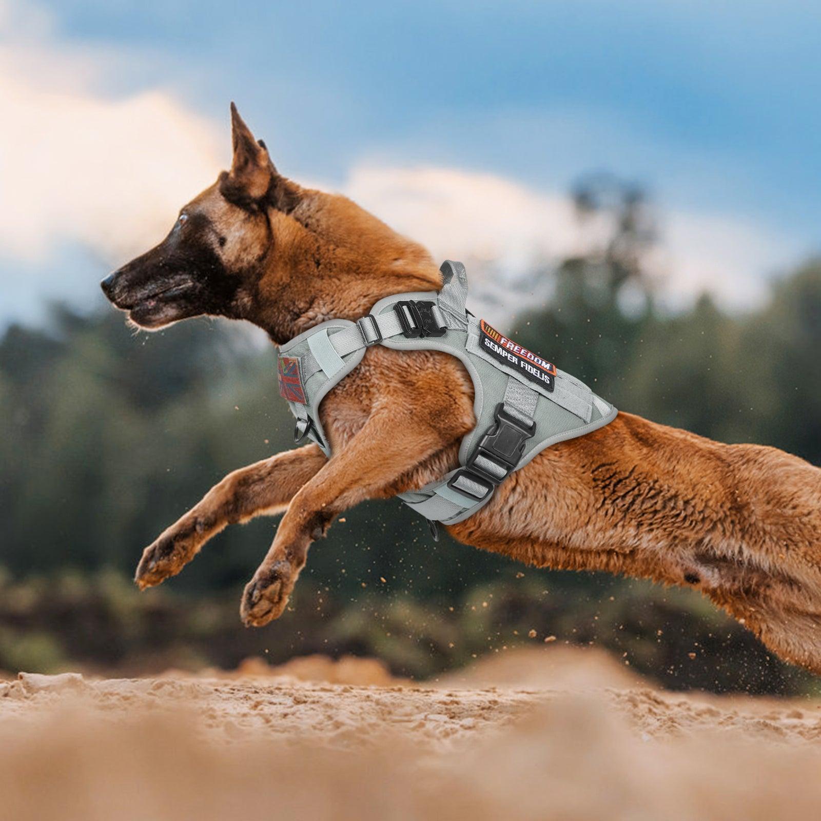 PAWTRENDER Tactical Dog Harness for Large Dogs - Grey