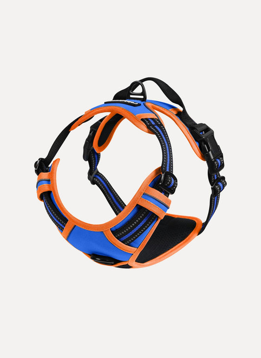 ColorPop Fit No Pull Dog Harness - Orange & Blue