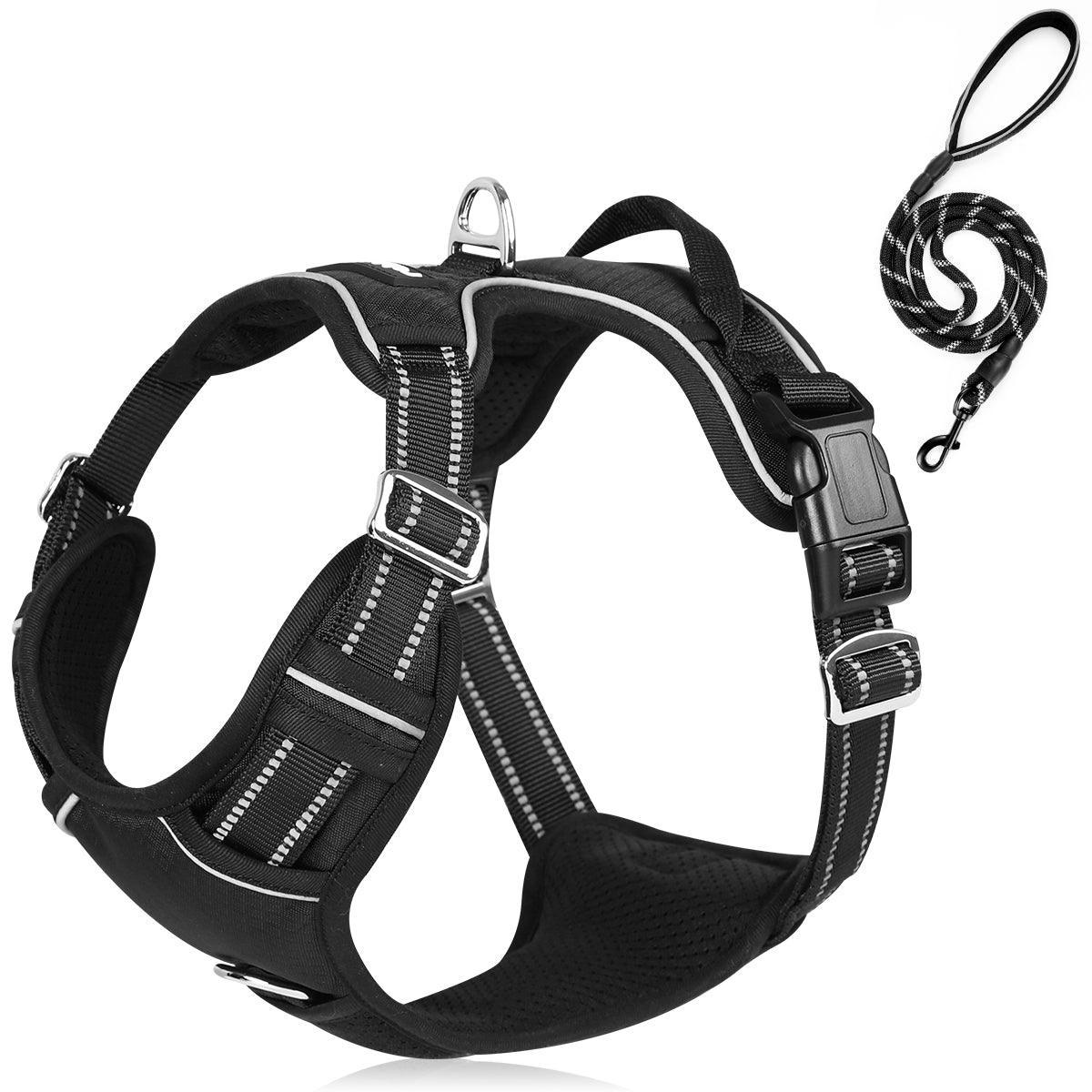Dog s Handshake Training A Blog Teaches You How To Train Your Dog dog-s-handshake-training-a-blog-teaches-you-how-to-train-your-dog
