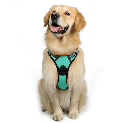 Rabbitgoo No Pull Dog Harness - Turquoise 