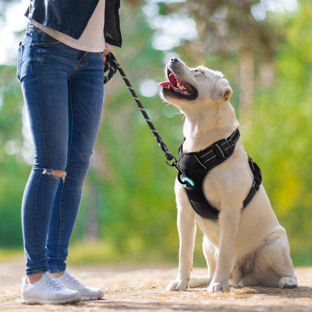 No Pull Dog Harness and Leash Set - Black / S