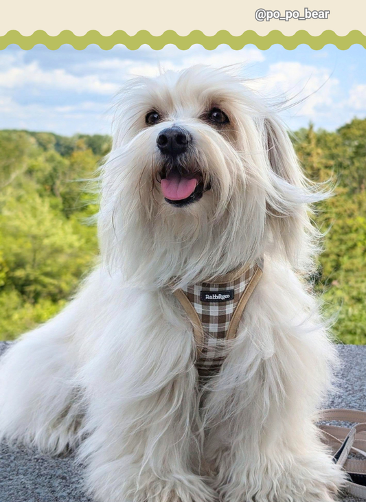 Minifit Small Dog Harness and Leash Set - Beige Check