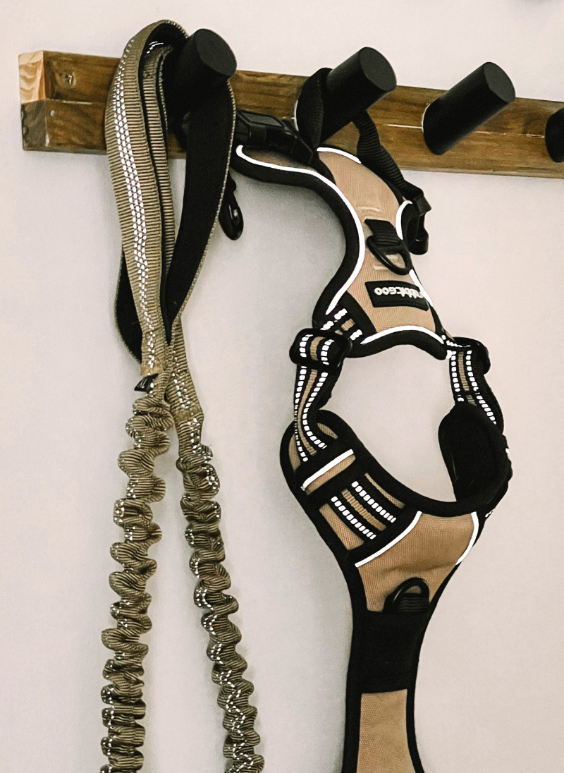 Beige Classic Fit No Pull Dog Harness Set