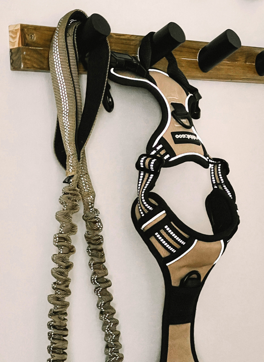 Beige Classic Fit No Pull Dog Harness Set