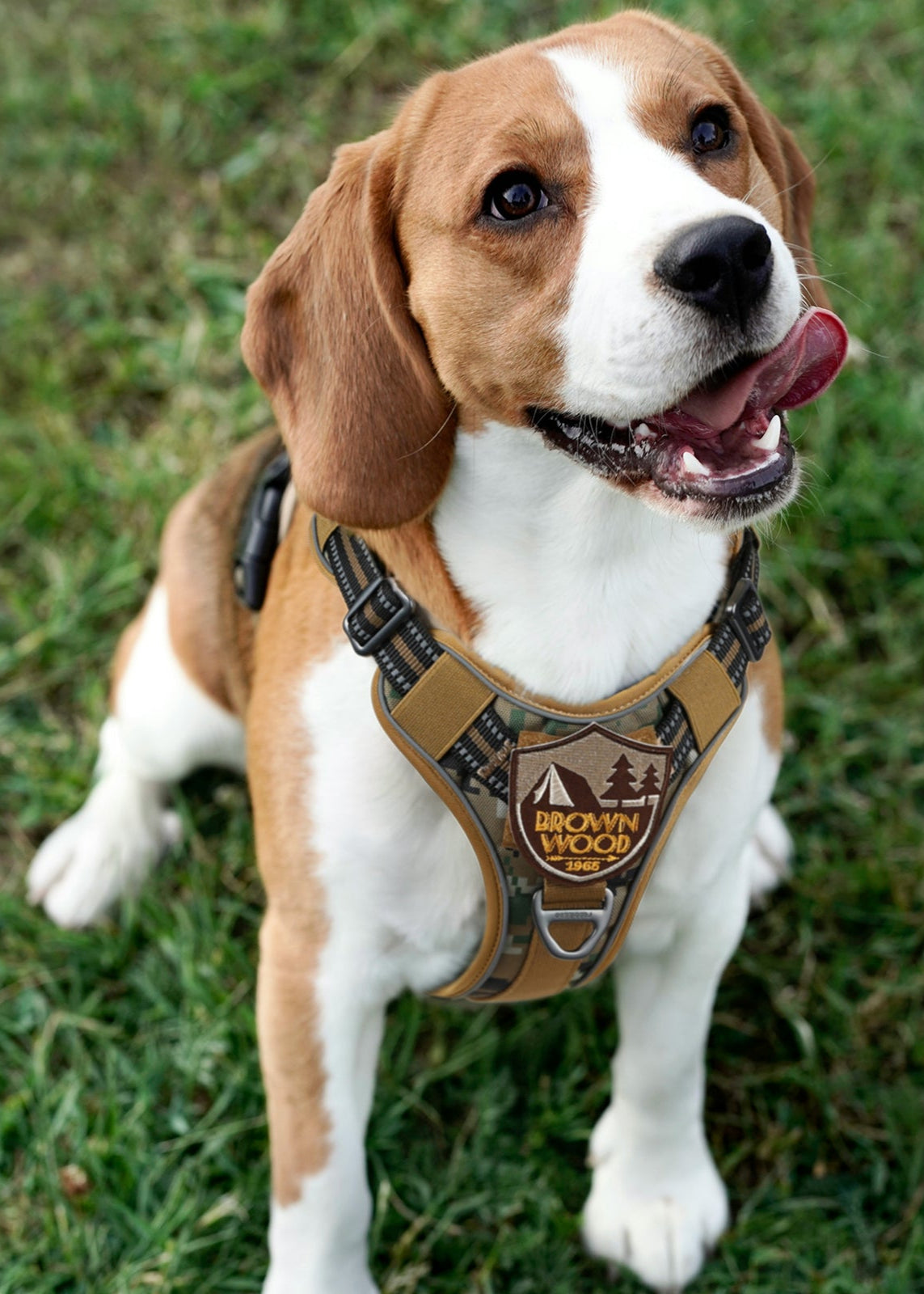 Tactical Dog Harness - Brown camo 