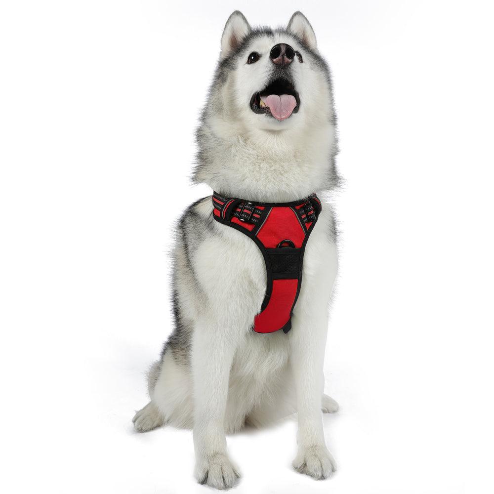 Rabbitgoo No Pull Dog Harness - Red 