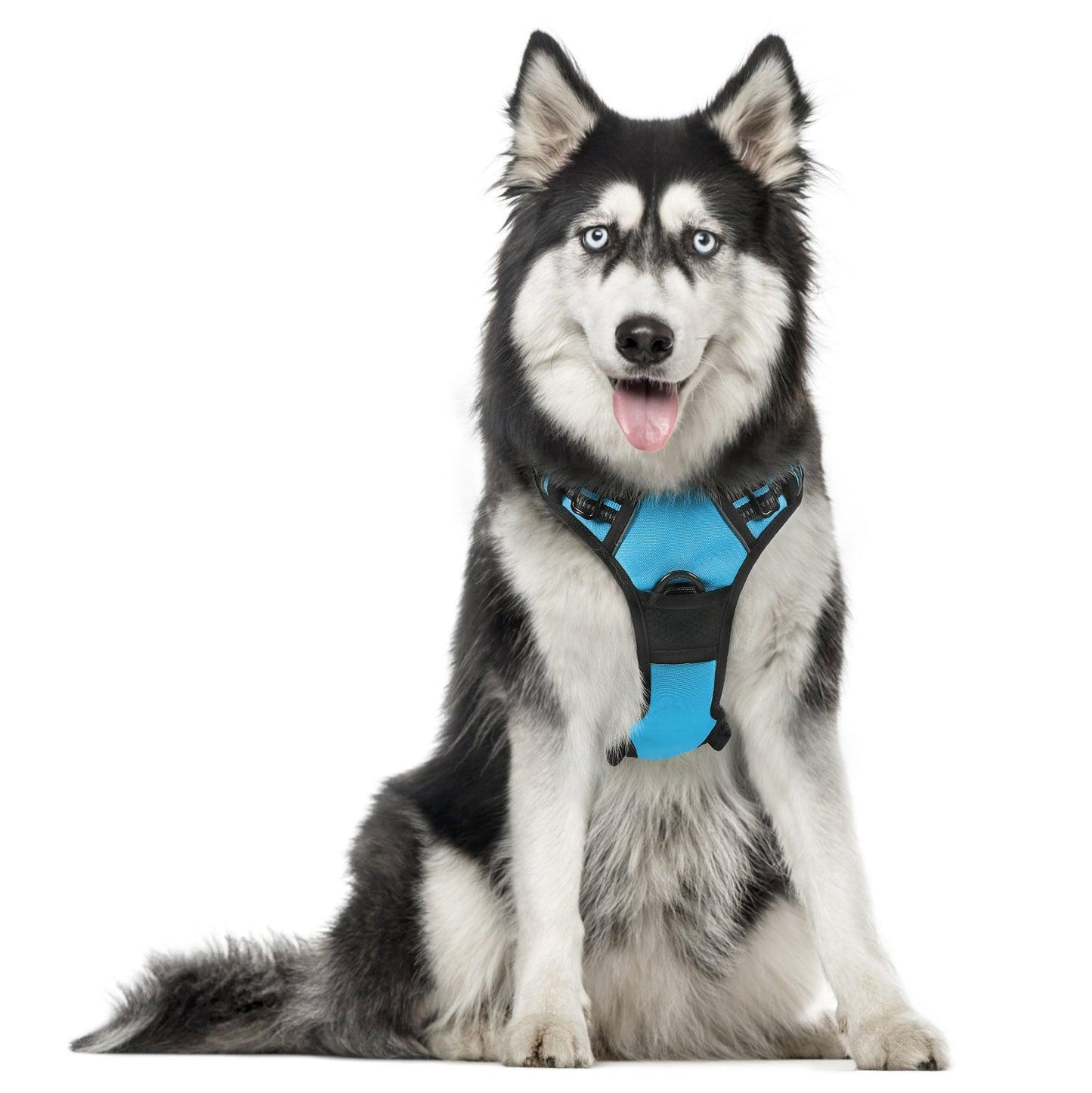 Rabbitgoo No Pull Dog Harness - Blue 