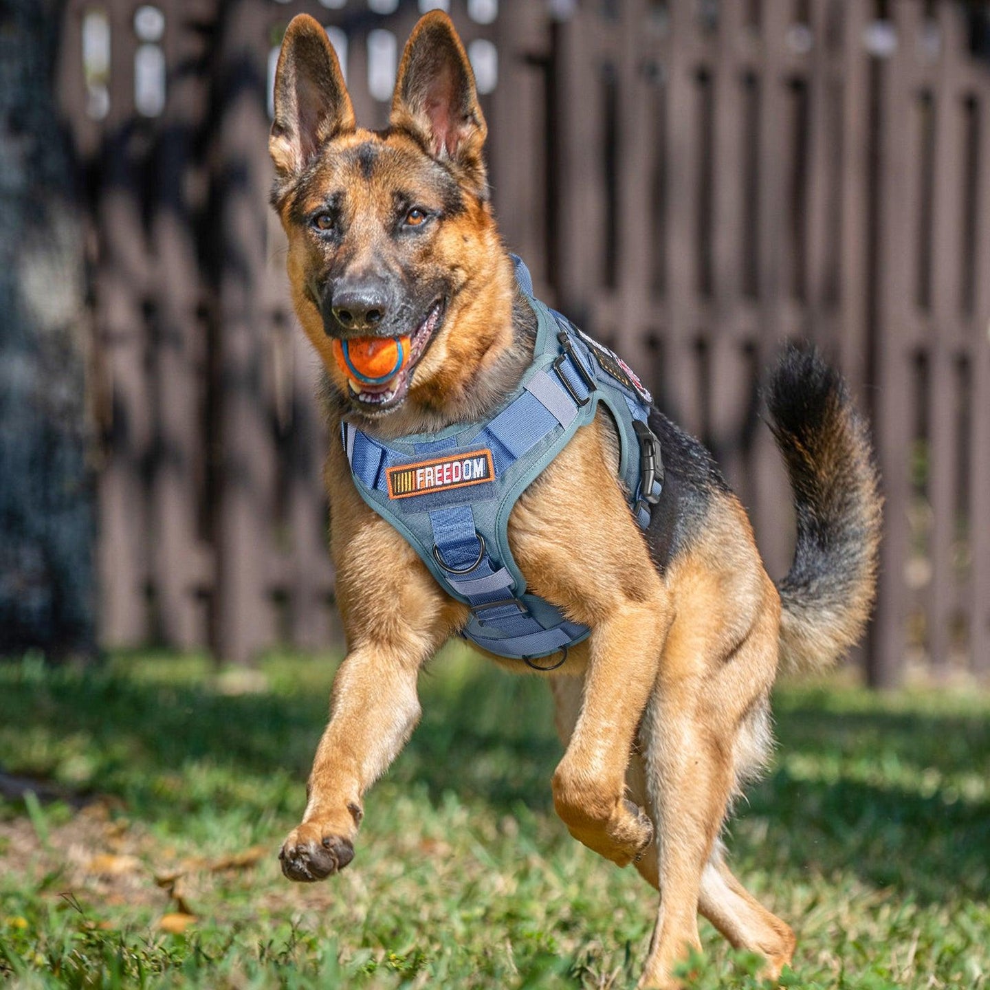 PAWTRENDER Tactical Dog Harness for Large Dogs - Blue