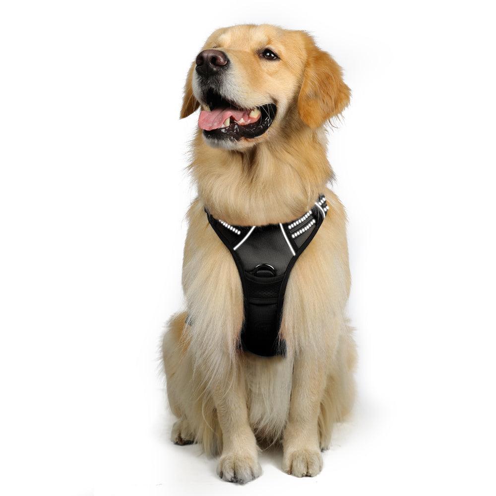 Rabbitgoo No Pull Dog Harness - Black 