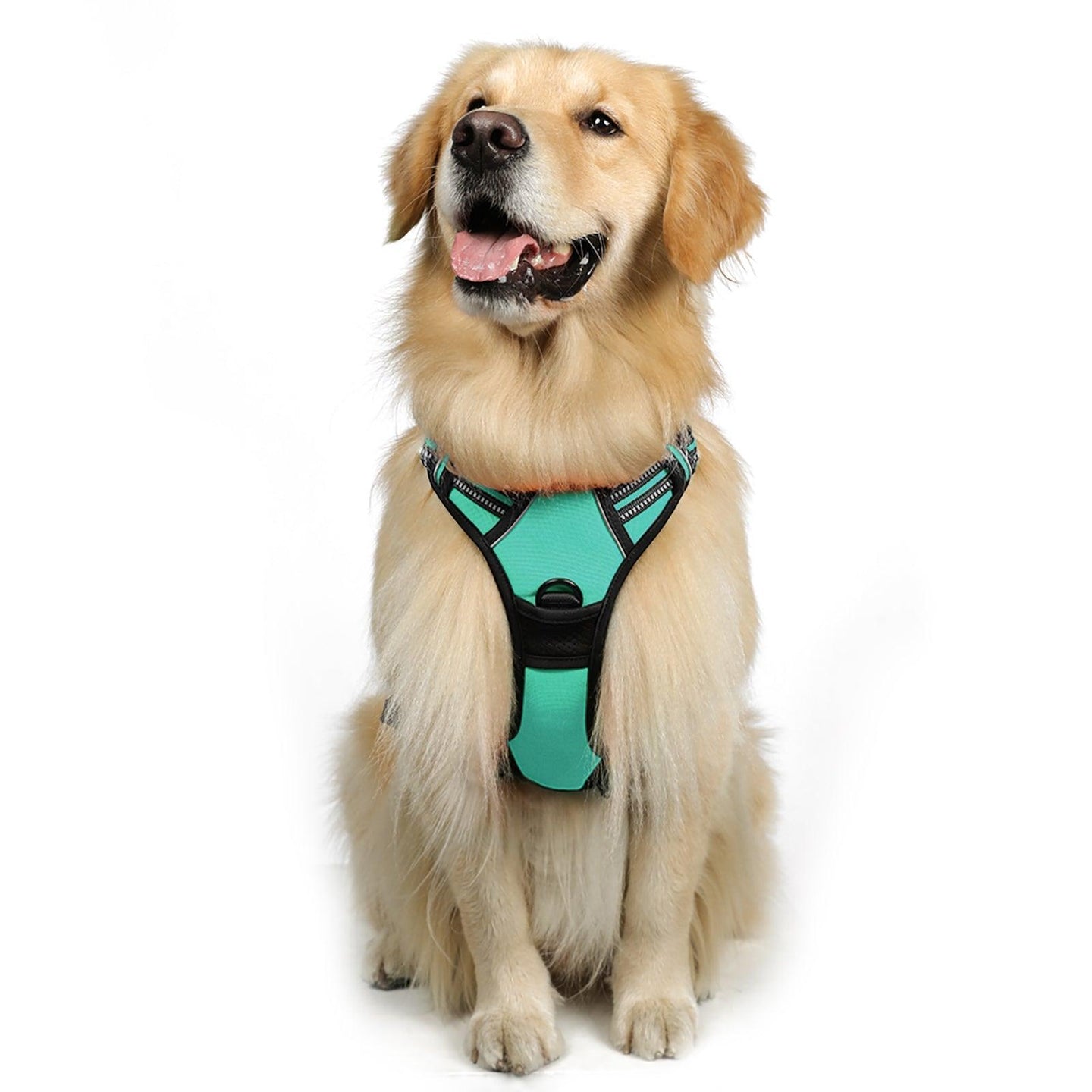 Rabbitgoo No Pull Dog Harness - Turquoise 