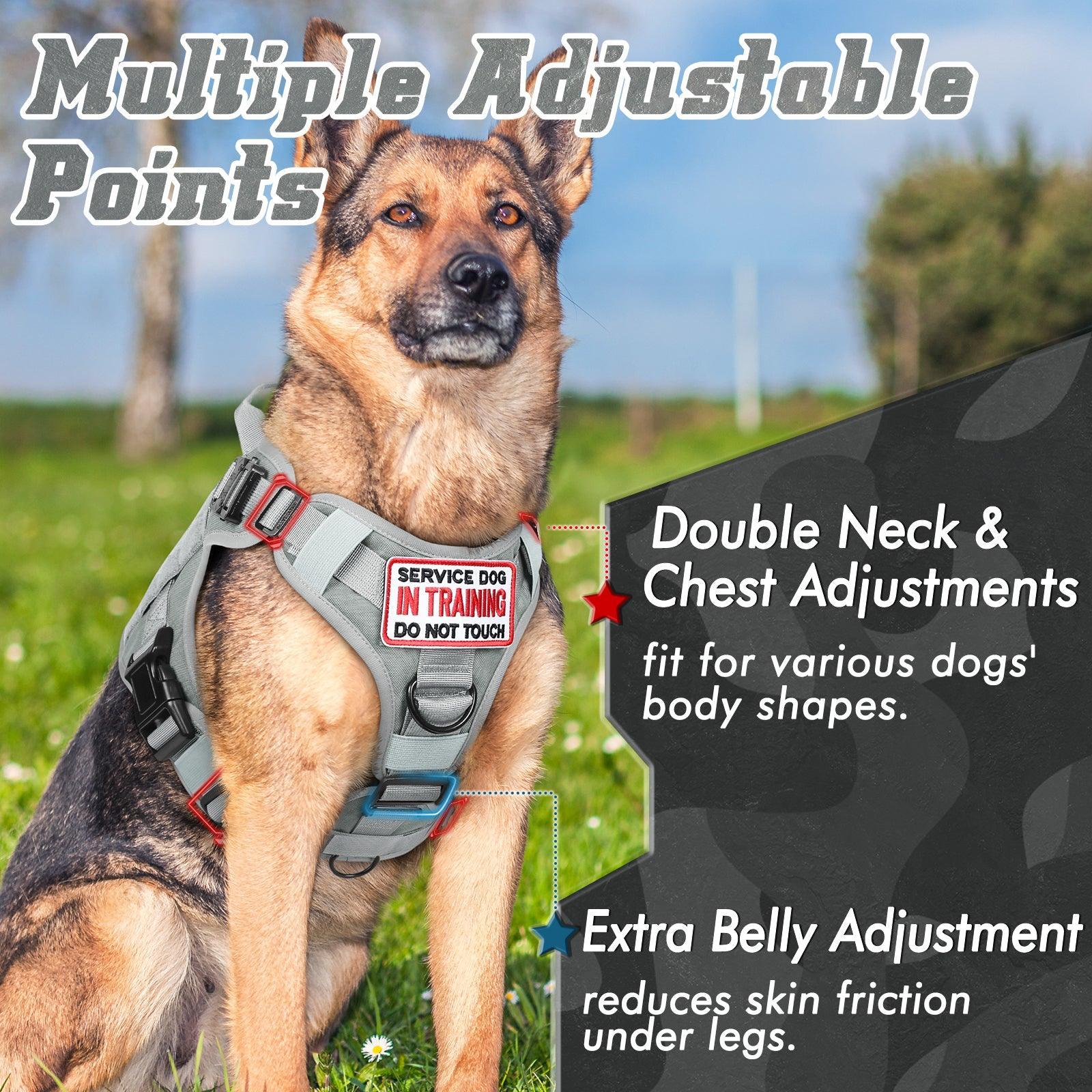 PAWTRENDER Tactical Dog Harness for Large Dogs - Grey
