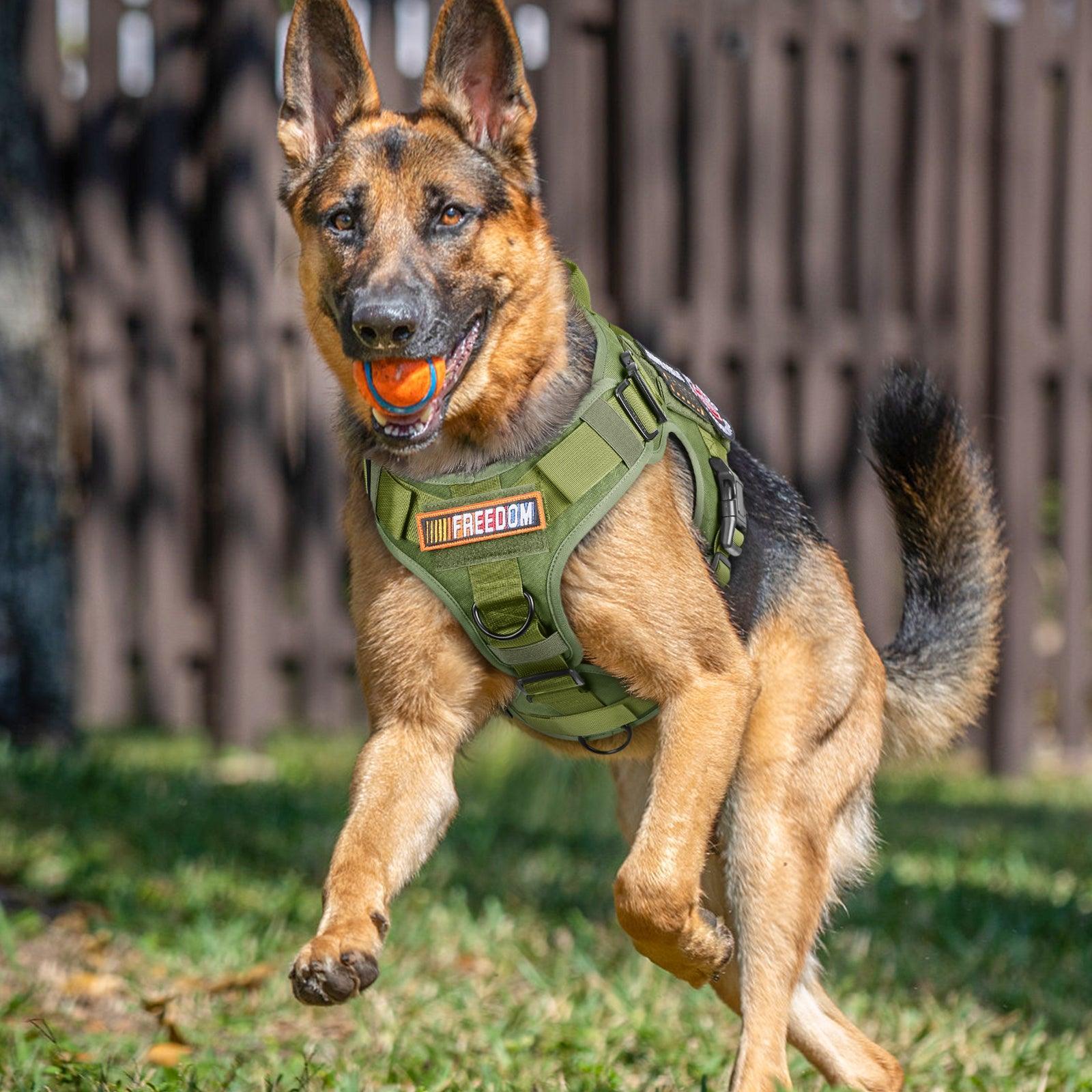 PAWTRENDER Tactical Dog Harness for Large Dogs - Green 
