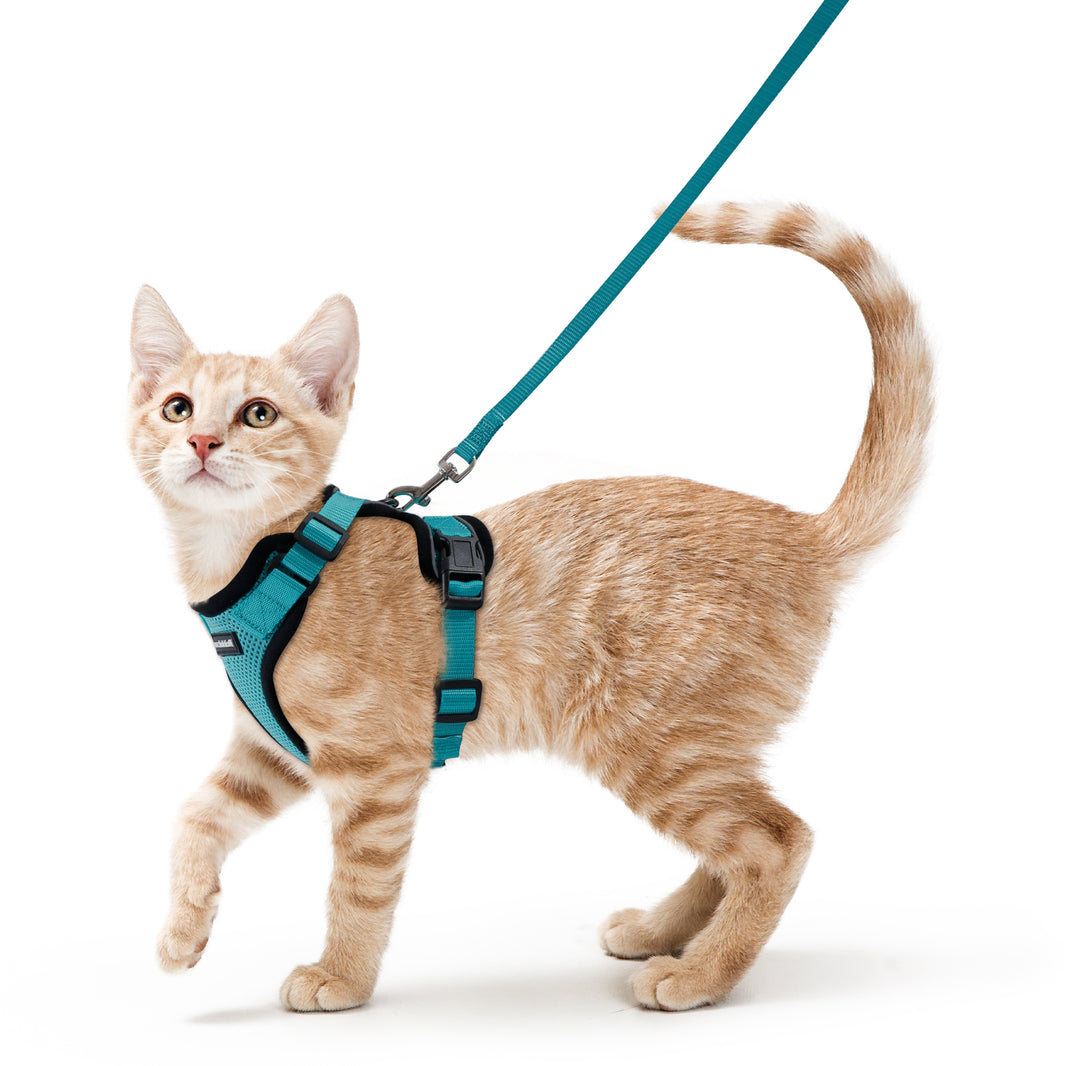Rabbitgoo Classic Adjustable Cat Harness and Leash Set - Teal