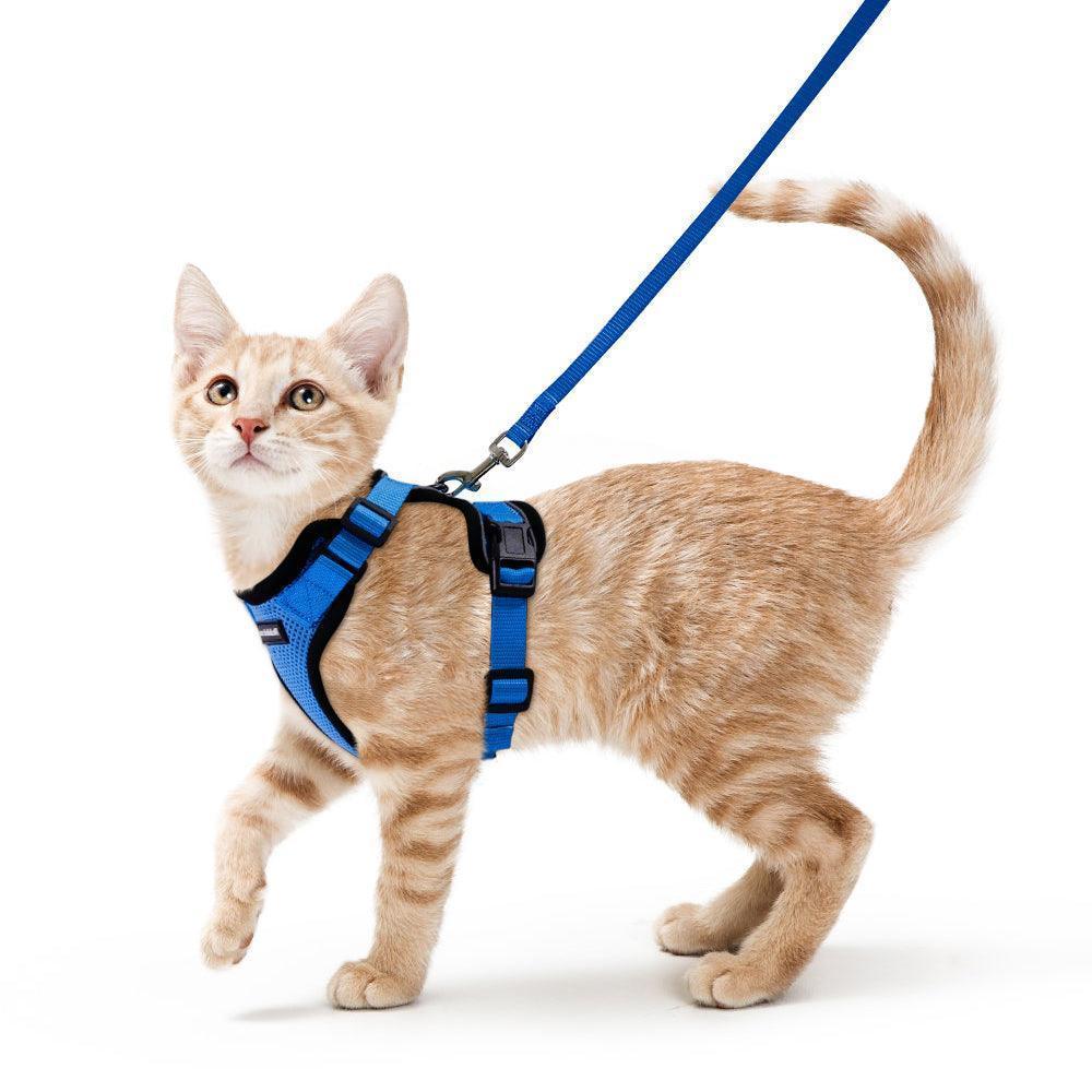 Rabbitgoo Classic Adjustable Cat Harness and Leash Set - Navy Blue