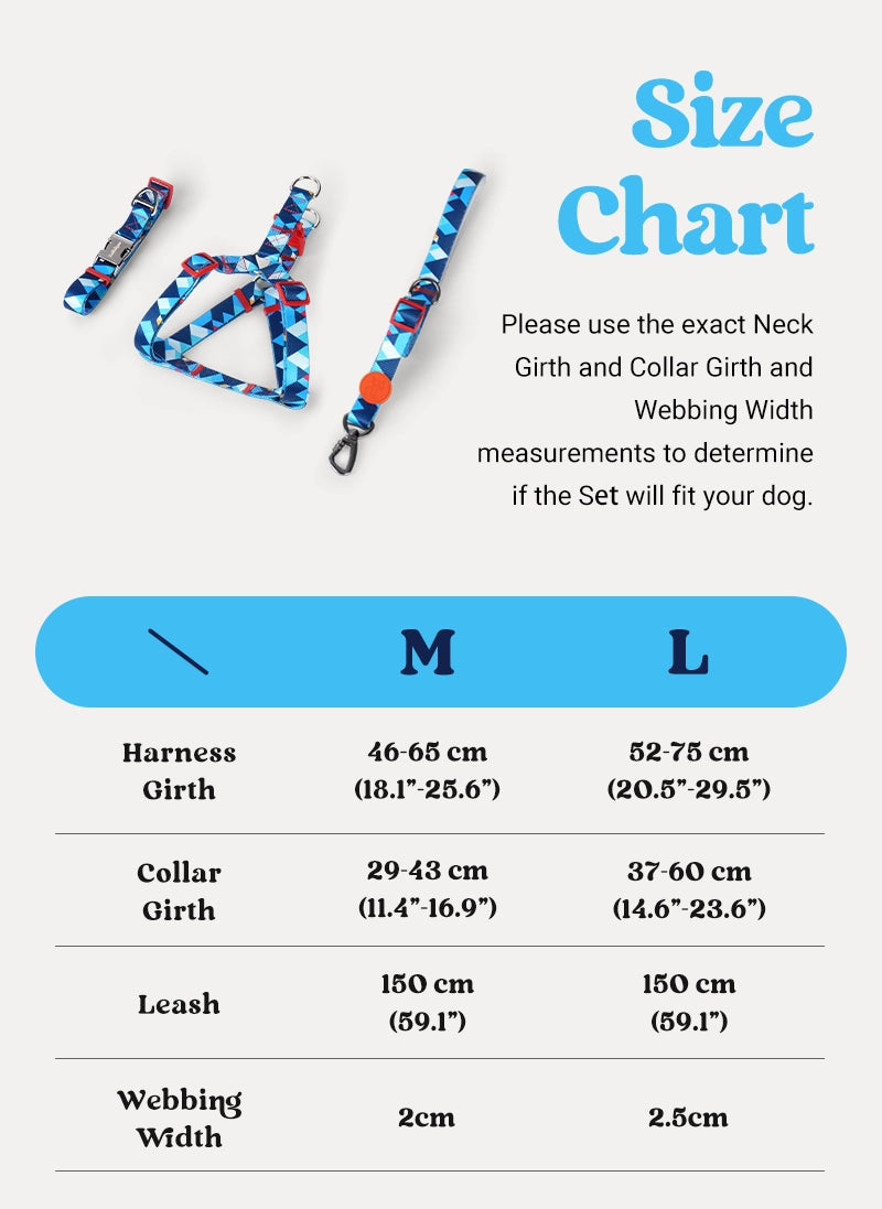 Freeline Y Series Blue Horizon Walking Set