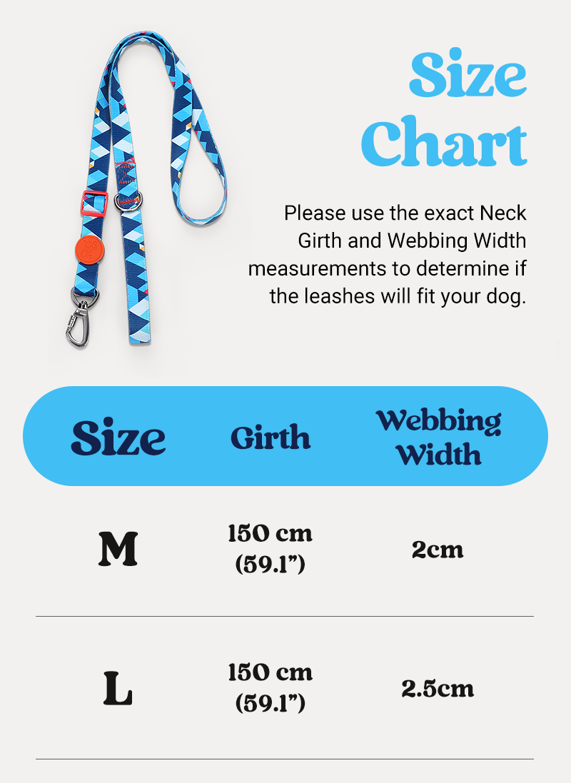 Freeline Y Series Blue Horizon Dog Harness Set