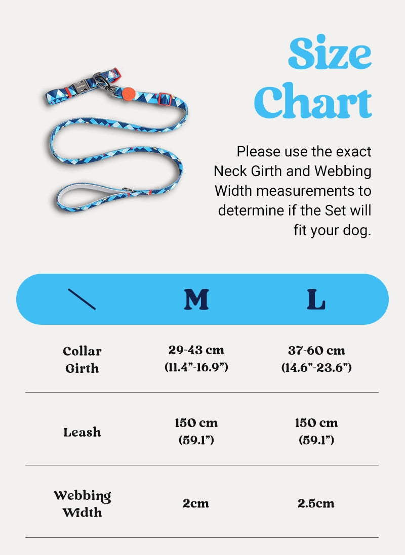 Freeline Y Series Blue Horizon Dog Collar Set