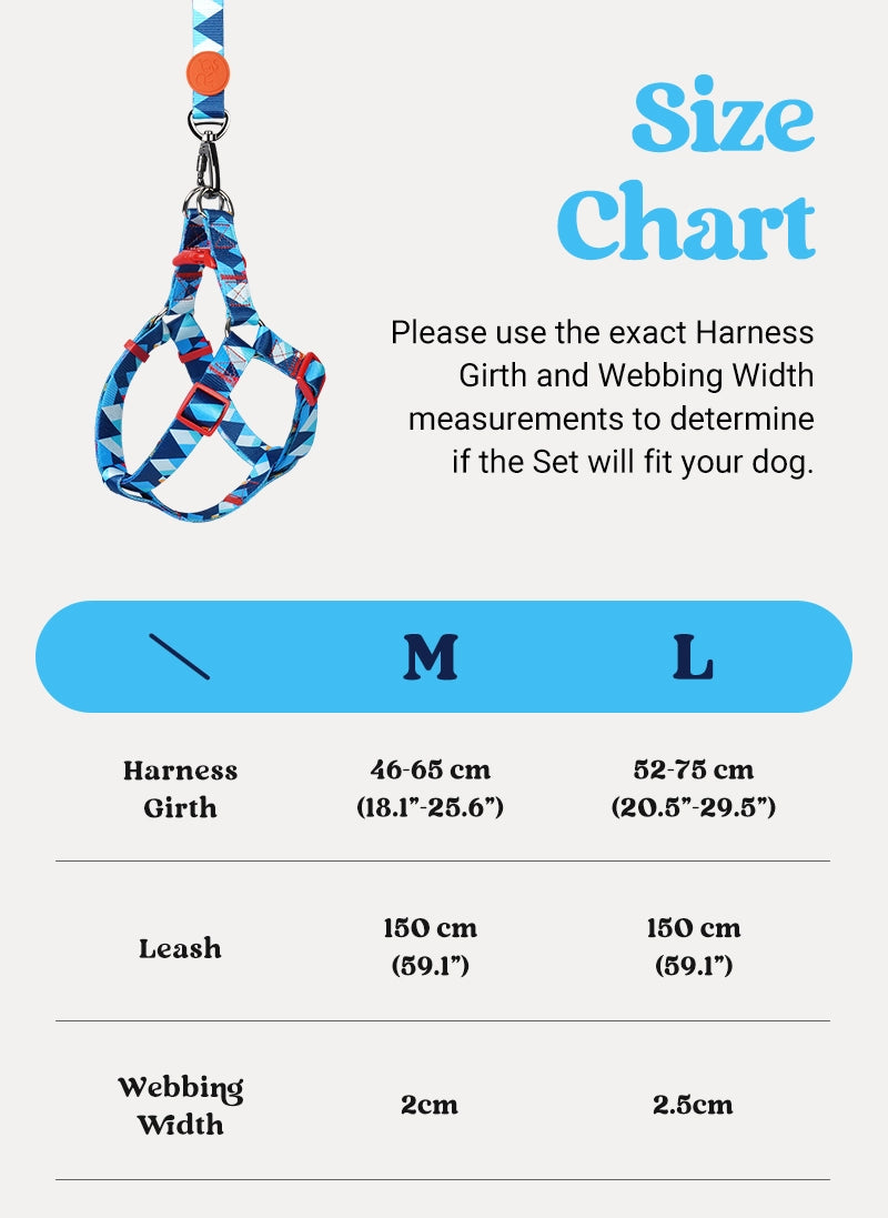 Freeline Y Series Blue Horizon Dog Harness Set