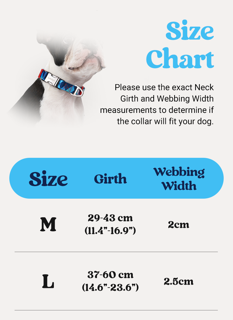 Freeline Y Series Blue Horizon Dog Collar Set - Blue