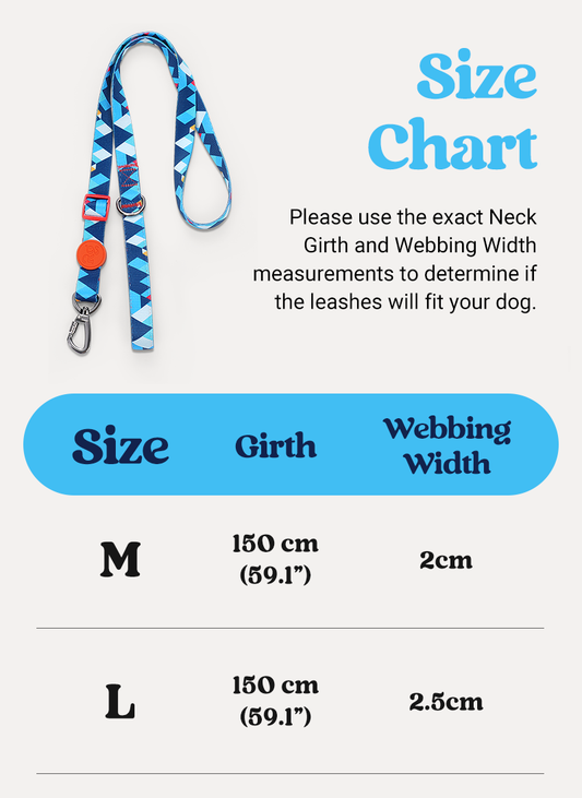 Freeline Y Series Blue Horizon Dog Leash - Blue