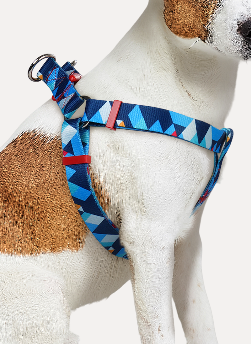 Freeline Y Series Blue Horizon Dog Harness - Blue