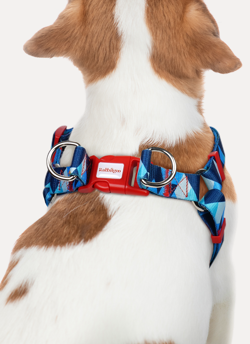 Freeline Y Series Blue Horizon Dog Harness - Blue