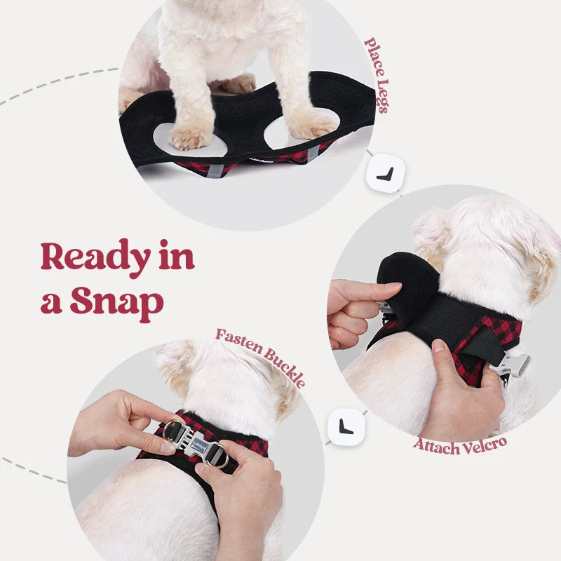 Minifit Small Dog Harness and Leash Set - Red Check