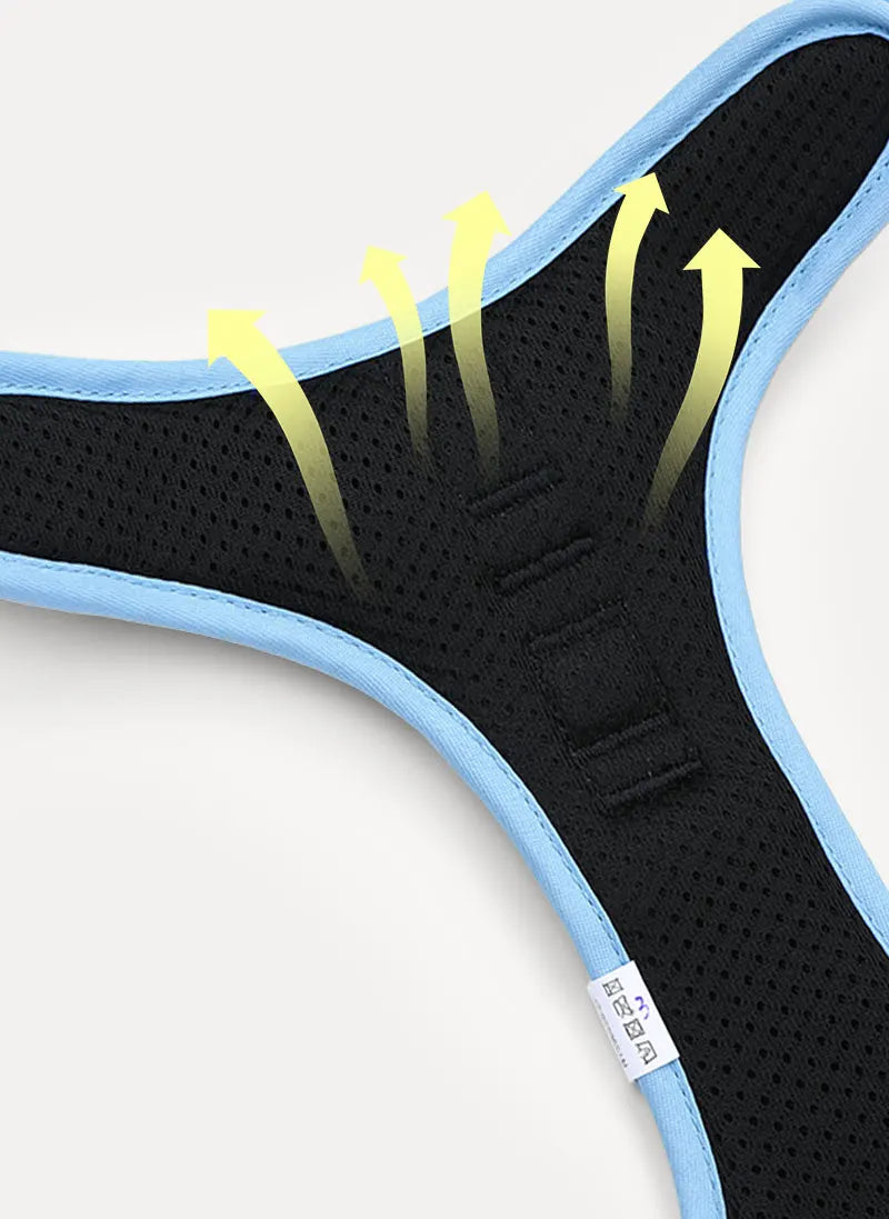 BloomWalk Easy-On No Pull Dog Harness - Floral Blue