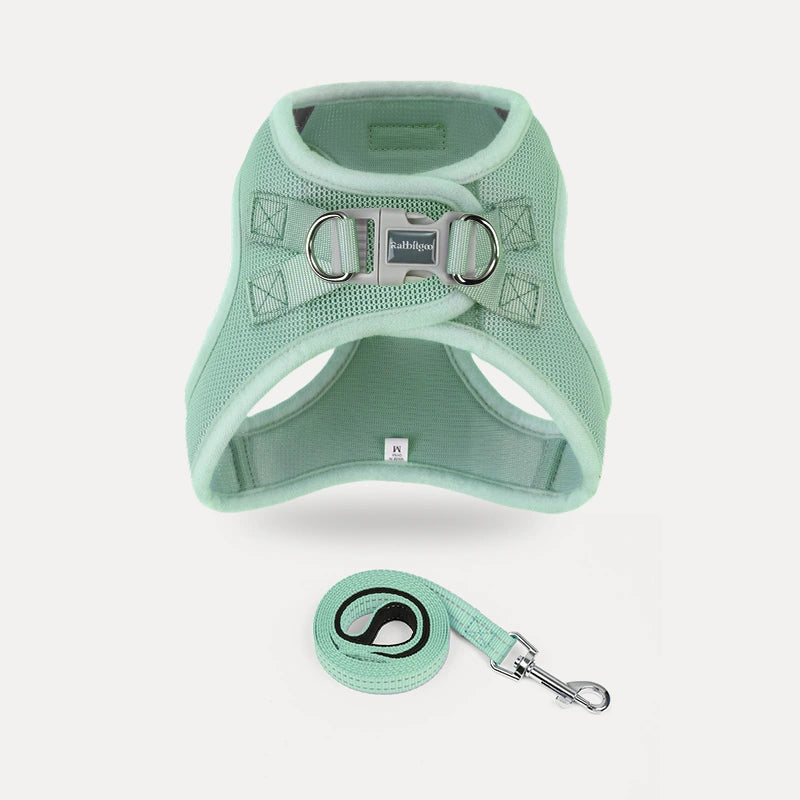 Minifit Small Dog Harness and Leash Set - Mint green
