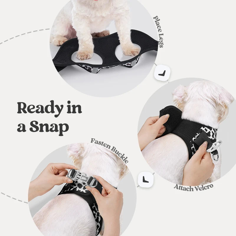 Minifit Small Dog Harness and Leash Set - Black White Cow