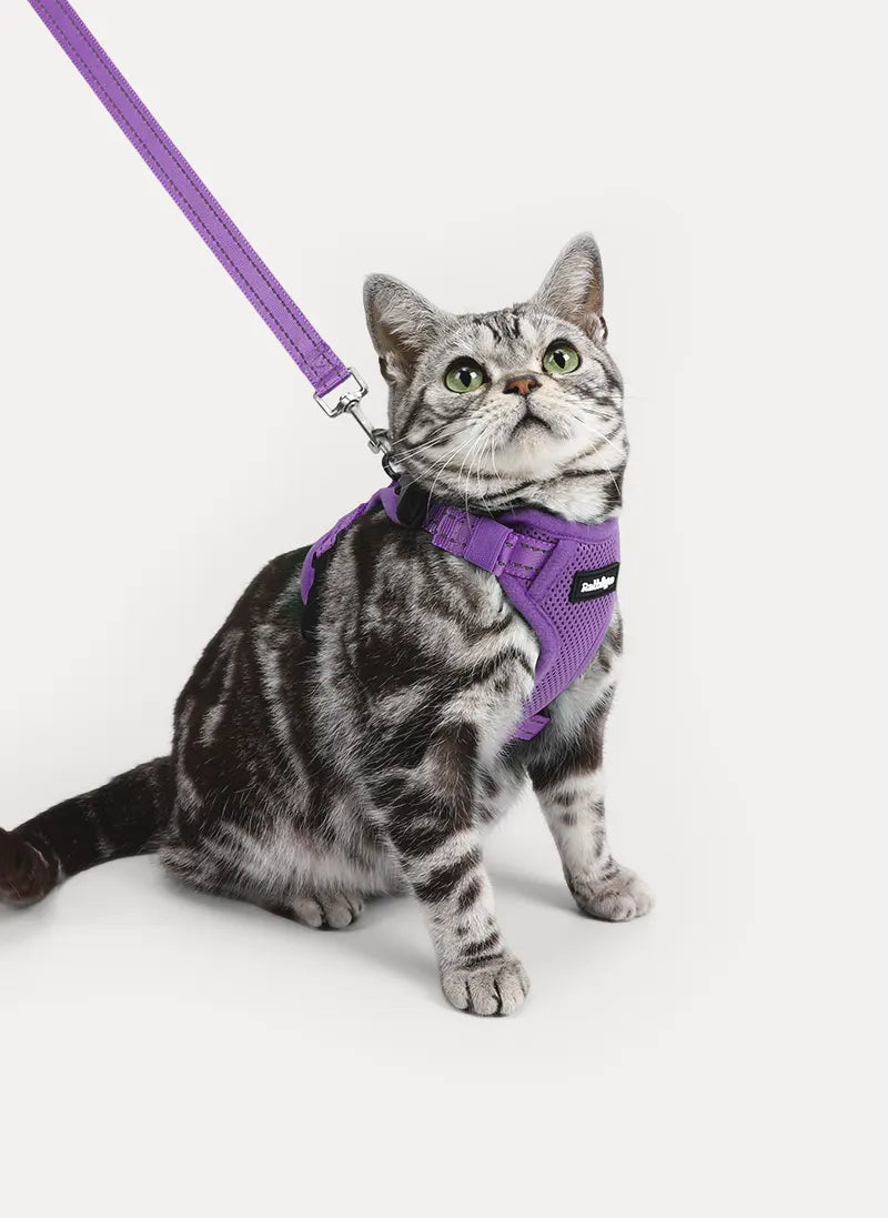 Rabbitgoo SnugFit 3-Point Cat Harness and Leash Set - Purple