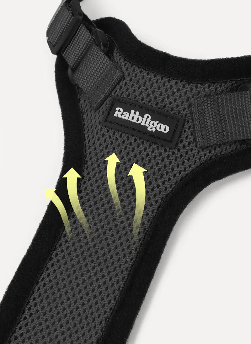Rabbitgoo Classic Adjustable Cat Harness and Leash Set - Black
