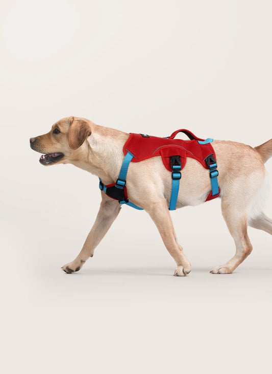 Lift Assist Escape Proof Dog Harness - Red & Light Blue