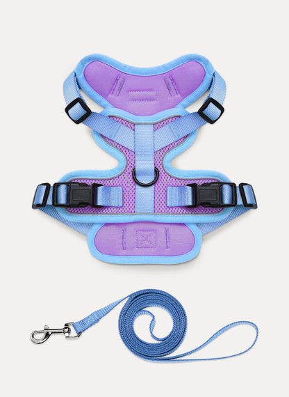 Rabbitgoo 2-tone Adjustable cat harness and leash set - Purple & Blue