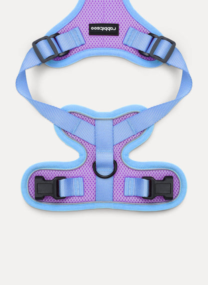 Rabbitgoo 2-tone Adjustable cat harness and leash set - Purple & Blue