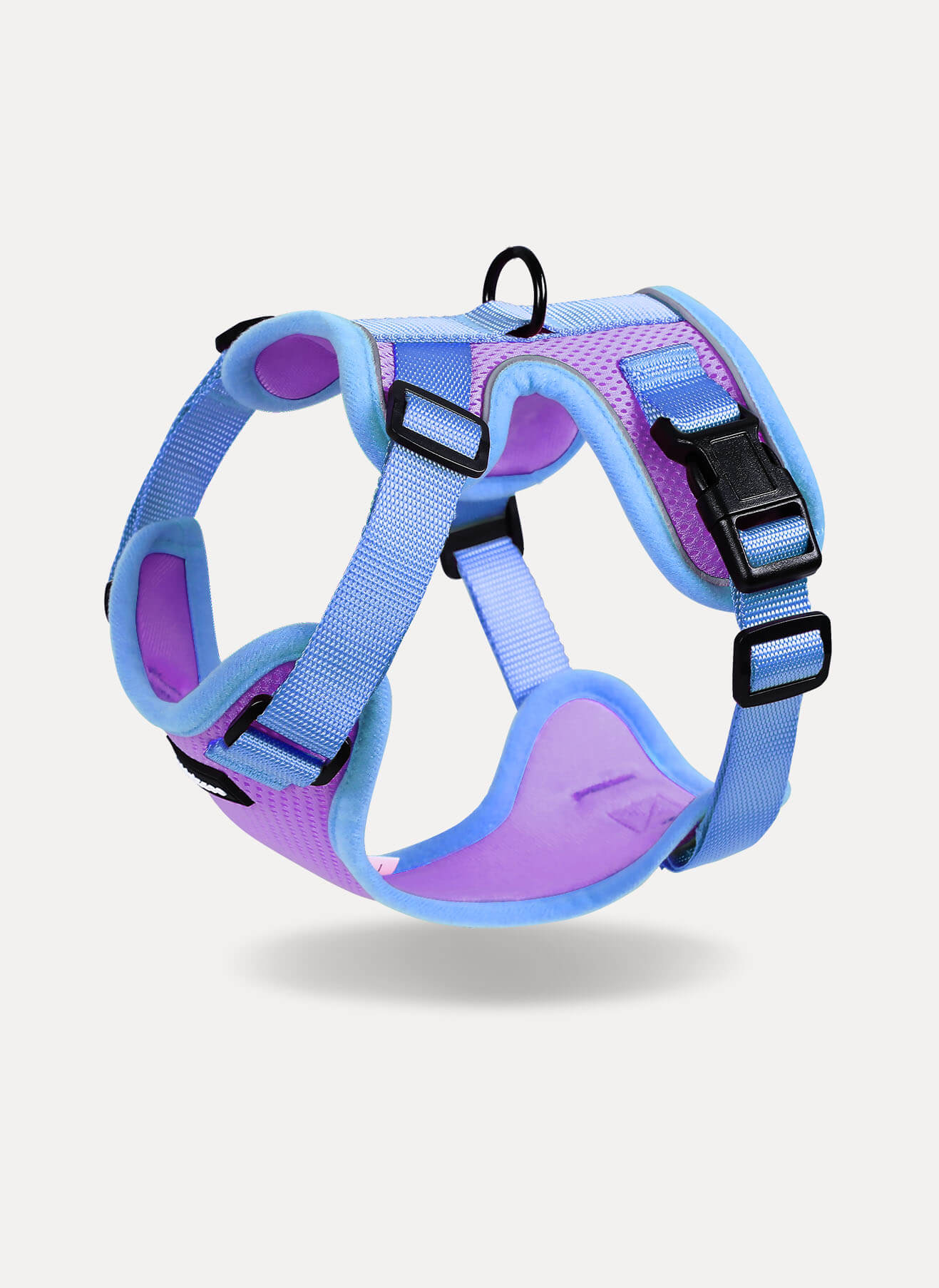 Rabbitgoo 2-tone Adjustable cat harness and leash set - Purple & Blue