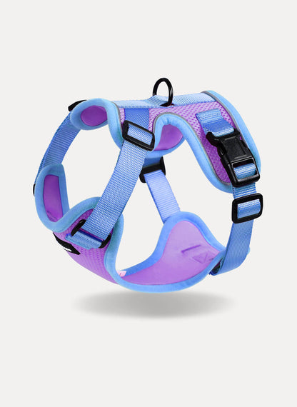 Rabbitgoo 2-tone Adjustable cat harness and leash set - Purple & Blue
