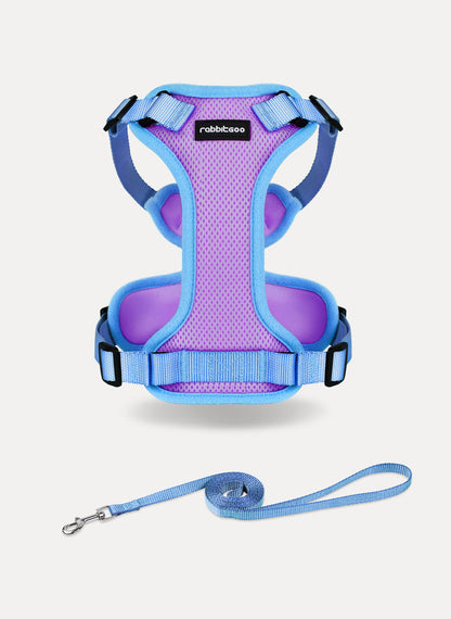 Rabbitgoo 2-tone Adjustable cat harness and leash set - Purple & Blue