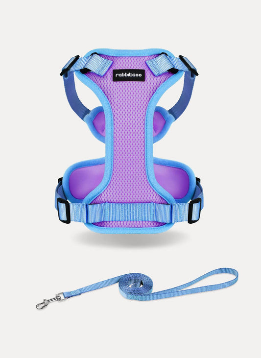 Rabbitgoo 2-tone Adjustable cat harness and leash set - Purple & Blue