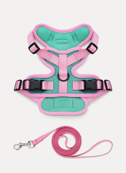 Rabbitgoo 2-tone Adjustable cat harness and leash set - Green & Pink
