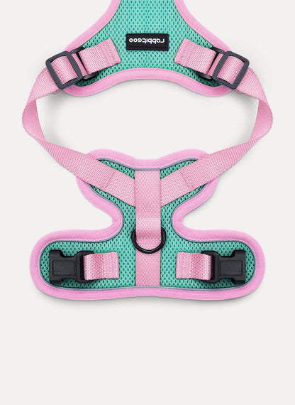 Rabbitgoo 2-tone Adjustable cat harness and leash set - Green & Pink