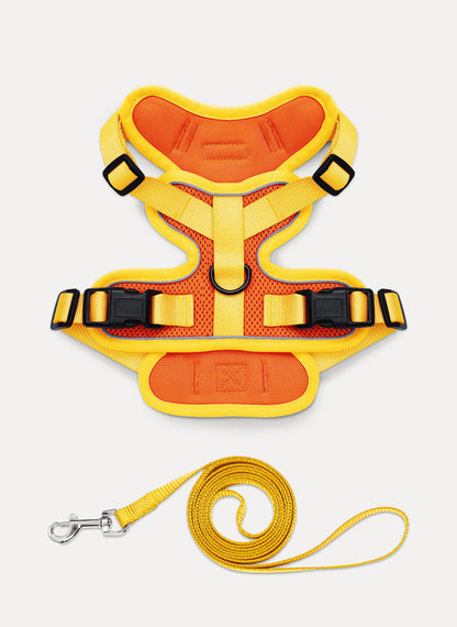 Rabbitgoo 2-tone Adjustable cat harness and leash set - Yellow & Orange