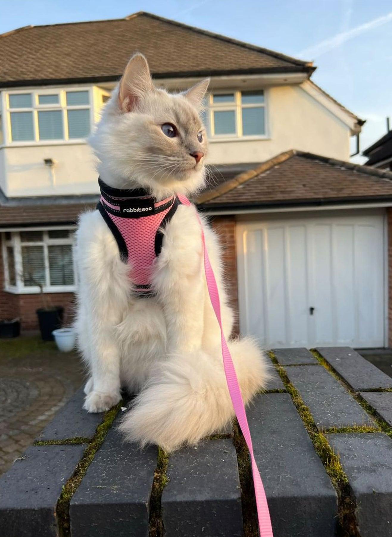 Rabbitgoo Escape Proof Cat Harness and Leash Set, with Reflective Strip - Pink